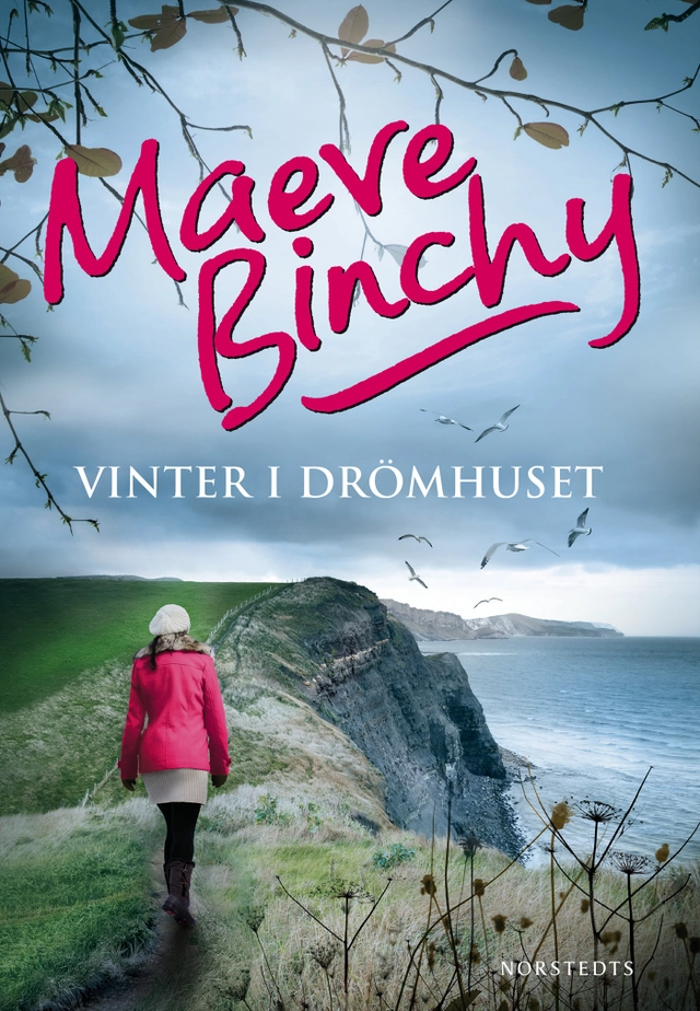 Vinter i drömhuset; Maeve Binchy; 2014