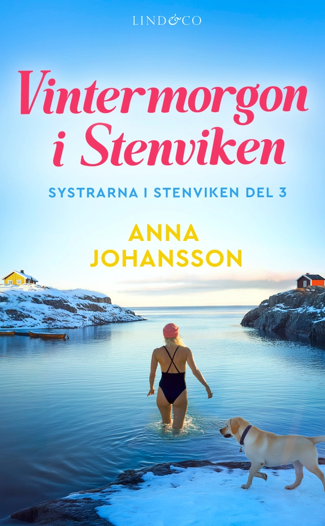 Vintermorgon i Stenviken; Anna Johansson; 2025