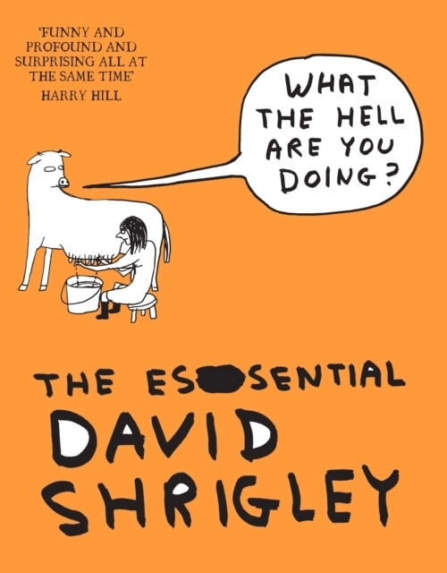 What The Hell Are You Doing?: The Essential David Shrigley; David Shrigley; 2012