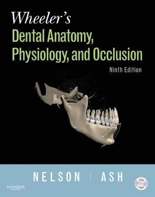 Wheeler's dental anatomy, physiology, and occlusion; Stanley J. Nelson, Major M. Ash; 2010