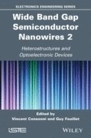 Wide Band Gap Semiconductor Nanowires for Optical Devices; Vincent Consonni, Guy Feuillet; 2014