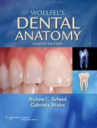 Woelfel's dental anatomy : its relevance to dentistry; Rickne C. Scheid; 2007