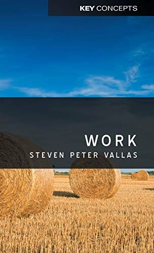 Work; Steven Vallas; 2011