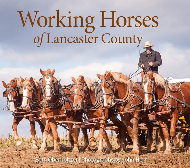 Working Horses Of Lancaster County; Beth Oberholtzer - John Herr; 2021