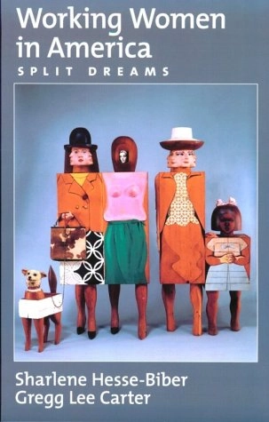 Working women in America : split dreams; Sharlene Nagy Hesse-Biber, Gregg Lee Carter; 2000