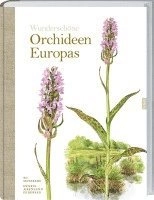 Wunderschöne Orchideen Europas; Bo Mossberg, Henrik Ærenlund Pedersen, Katrin Korch; 2017