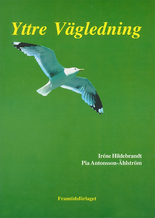 Yttre vägledning; Pia Antonsson-Ählström, Iréne Hildebrandt; 1998