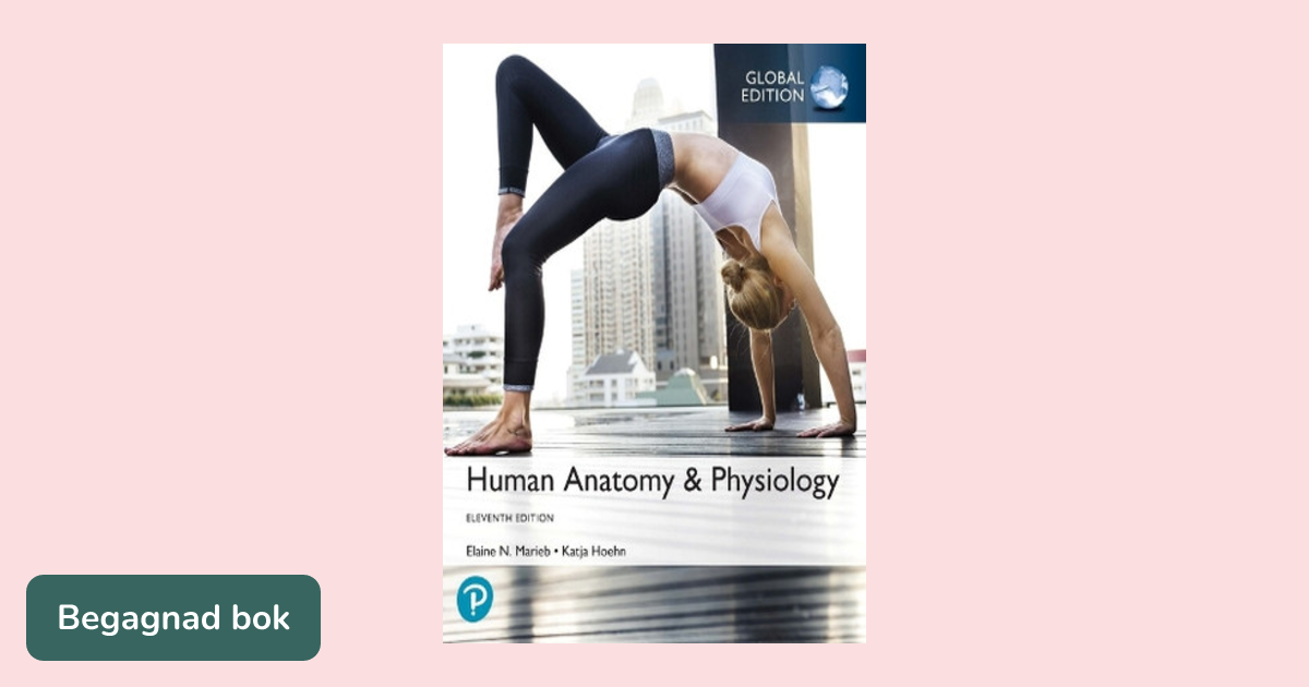 健康・医学 HUMANBIOLOGY Amazon.com: Human Biology, Anatomy & Physiology for the