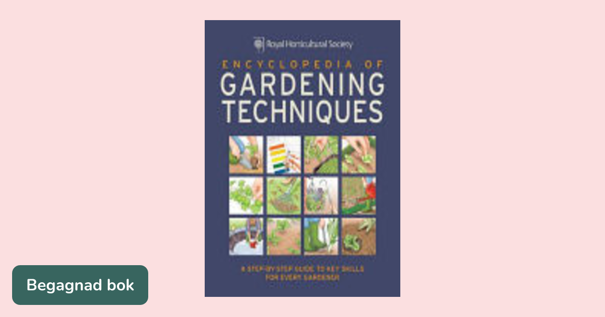 Creating A Vegetable Garden From Scratch: Step-by-Step Beginner’s Guide