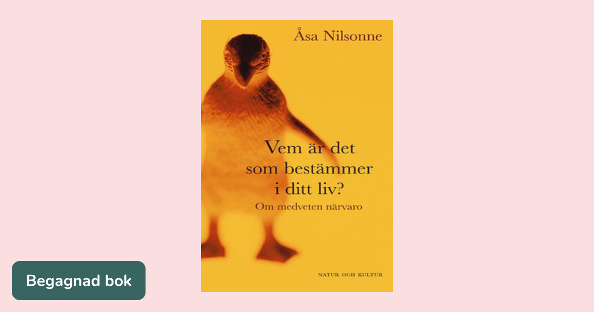 Vem Ar Det Som Bestammer I Ditt Liv Recension